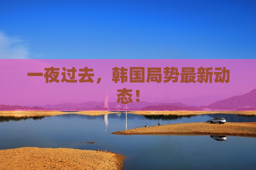 一夜过去，韩国局势最新动态！