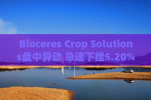 Bioceres Crop Solutions盘中异动 急速下挫5.20%报6.20美元