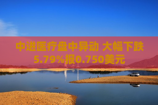 中进医疗盘中异动 大幅下跌5.79%报0.750美元