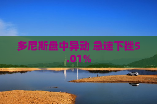 多尼斯盘中异动 急速下挫5.01%