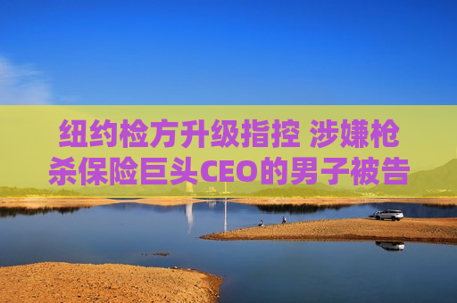 纽约检方升级指控 涉嫌枪杀保险巨头CEO的男子被告一级谋杀  第1张