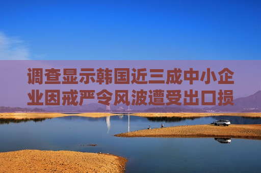 调查显示韩国近三成中小企业因 *** 令风波遭受出口损失