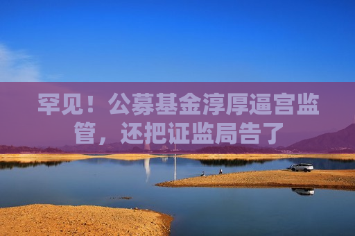 罕见！公募基金淳厚逼宫监管，还把证监局告了  第1张