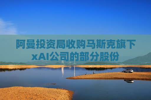 阿曼投资局收购马斯克旗下xAI公司的部分股份  第1张