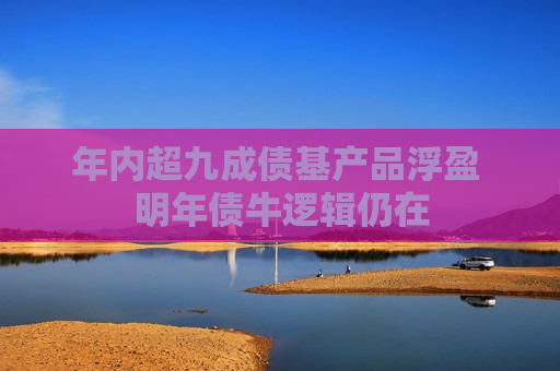 年内超九成债基产品浮盈 明年债牛逻辑仍在