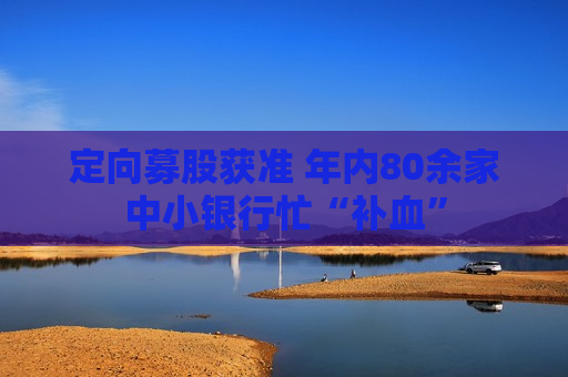 定向募股获准 年内80余家中小银行忙“补血”