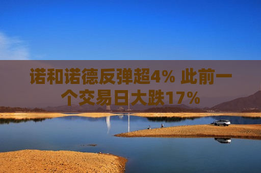诺和诺德反弹超4% 此前一个交易日大跌17%  第1张