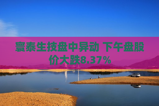 寰泰生技盘中异动 下午盘股价大跌8.37%