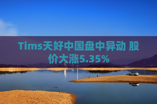 Tims天好中国盘中异动 股价大涨5.35%