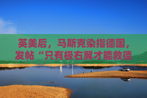 英美后，马斯克染指德国，发帖“只有极右翼才能救德国”