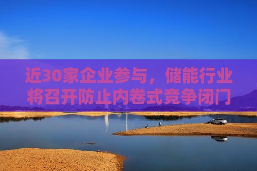 近30家企业参与，储能行业将召开防止内卷式竞争闭门研讨会  第1张