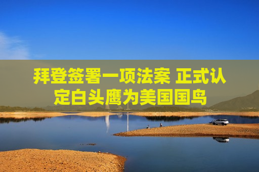 拜登签署一项法案 正式认定白头鹰为美国国鸟  第1张