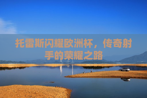 托雷斯闪耀欧洲杯，传奇射手的荣耀之路  第1张