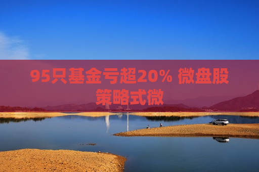 95只基金亏超20% 微盘股策略式微  第1张