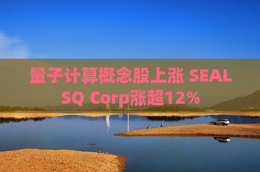 量子计算概念股上涨 SEALSQ Corp涨超12%
