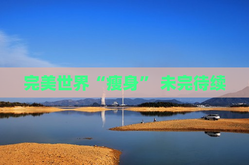 完美世界“瘦身” 未完待续