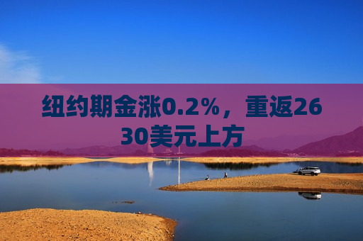纽约期金涨0.2%，重返2630美元上方  第1张
