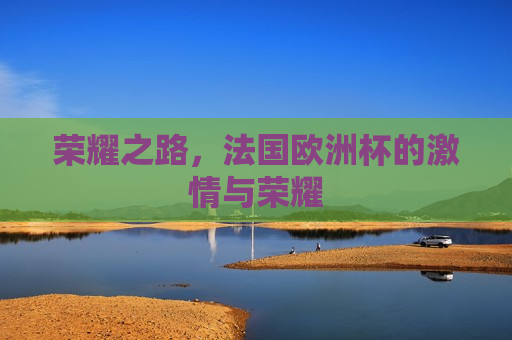荣耀之路，法国欧洲杯的 *** 与荣耀