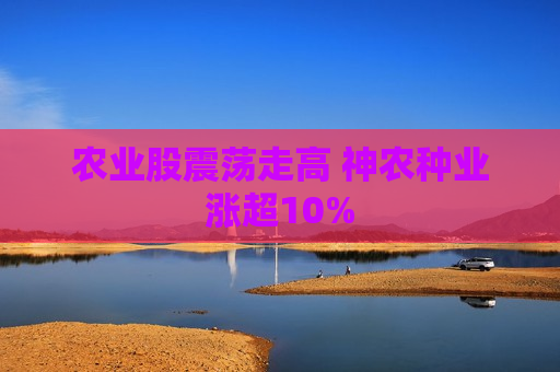 农业股震荡走高 神农种业涨超10%