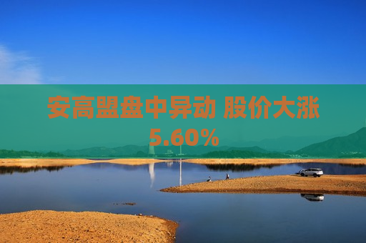 安高盟盘中异动 股价大涨5.60%  第1张