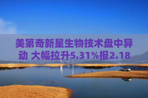 美第奇新星生物技术盘中异动 大幅拉升5.31%报2.18美元