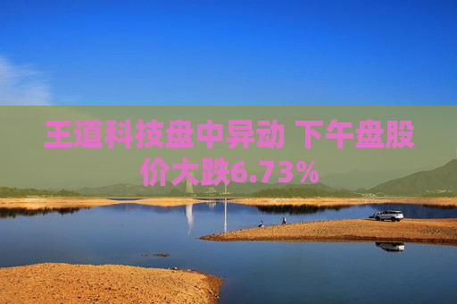 王道科技盘中异动 下午盘股价大跌6.73%