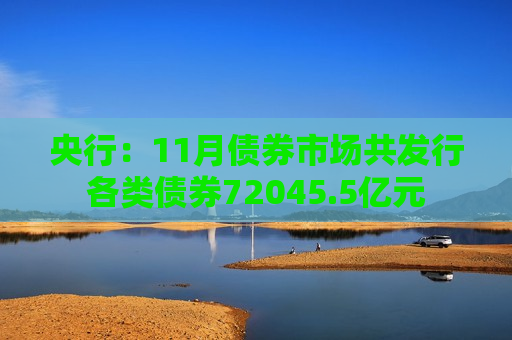 央行：11月债券市场共发行各类债券72045.5亿元  第1张