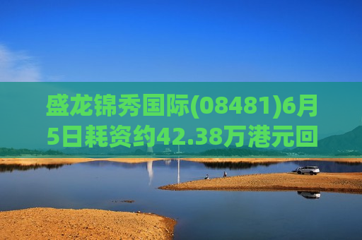 盛龙锦秀国际(08481)6月5日耗资约42.38万港元回购68.5万股  第1张