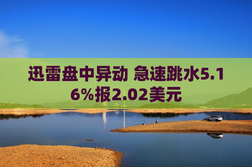 迅雷盘中异动 急速跳水5.16%报2.02美元  第1张