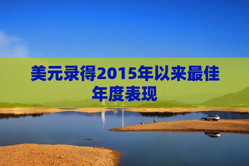 美元录得2015年以来更佳年度表现  第1张