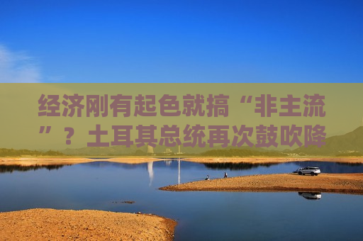 经济刚有起色就搞“非主流”？土耳其总统再次鼓吹降息抑制通胀理论