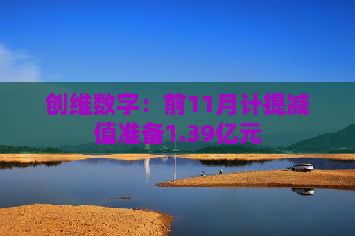创维数字：前11月计提减值准备1.39亿元