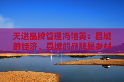 天进品牌管理冯帼英：县域的经济、县域的品牌是乡村振兴最重要的一个抓手  第1张