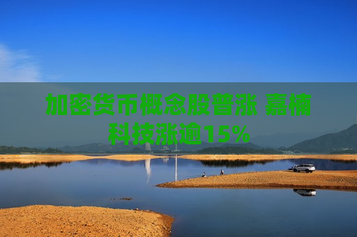 加密货币概念股普涨 嘉楠科技涨逾15%