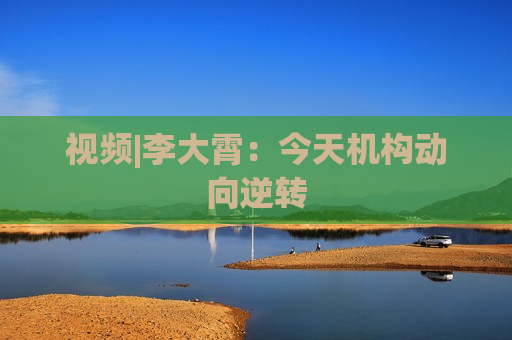 视频|李大霄：今天机构动向逆转