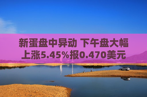 新蛋盘中异动 下午盘大幅上涨5.45%报0.470美元