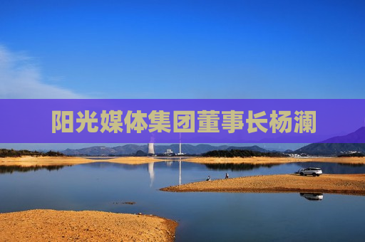 阳光媒体集团董事长杨澜  第1张