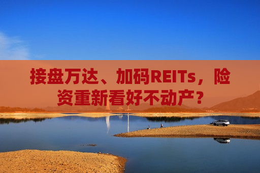 接盘万达、加码REITs，险资重新看好不动产？