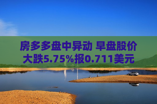 房多多盘中异动 早盘股价大跌5.75%报0.711美元  第1张