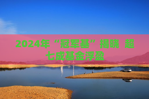 2024年“冠军基”揭晓  超七成基金浮盈