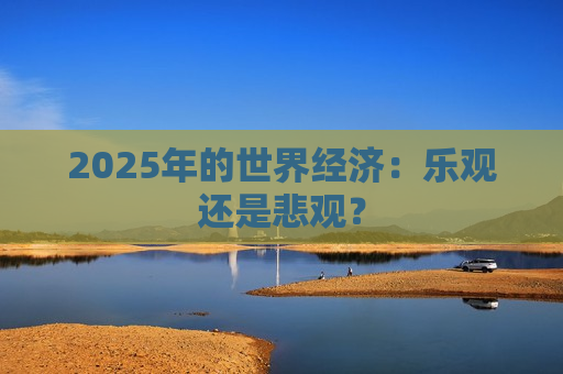 2025年的世界经济：乐观还是悲观？  第1张