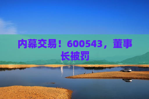 内幕交易！600543，董事长被罚  第1张