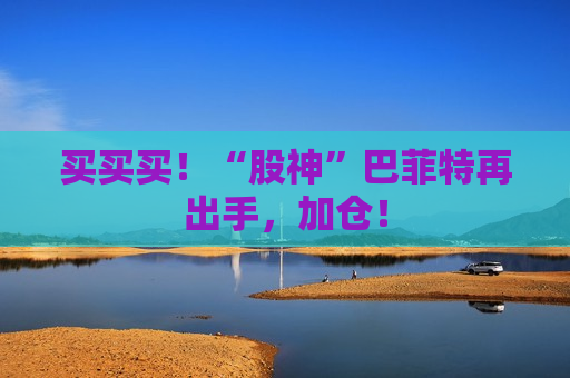 买买买！“股神”巴菲特再出手，加仓！