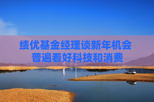 绩优基金经理谈新年机会 普遍看好科技和消费