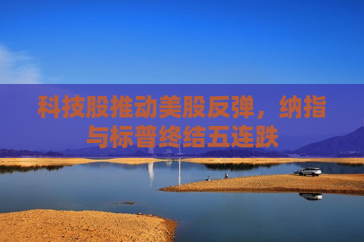 科技股推动美股反弹，纳指与标普终结五连跌
