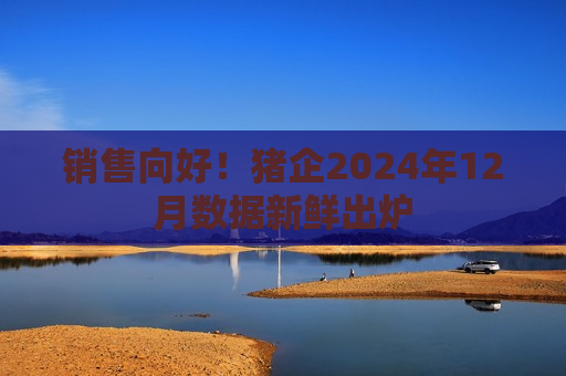 销售向好！猪企2024年12月数据新鲜出炉