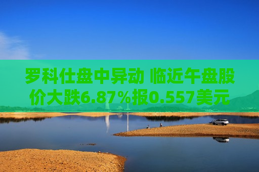 罗科仕盘中异动 临近午盘股价大跌6.87%报0.557美元