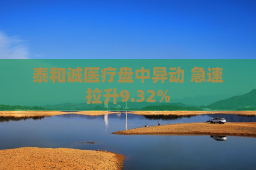 泰和诚医疗盘中异动 急速拉升9.32%