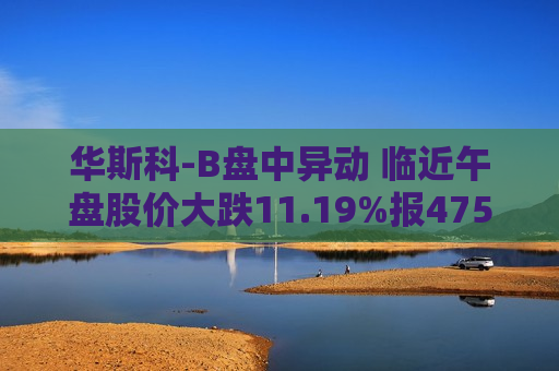 华斯科-B盘中异动 临近午盘股价大跌11.19%报475.15美元