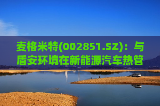 麦格米特(002851.SZ)：与盾安环境在新能源汽车热管理相关业务已建立合作